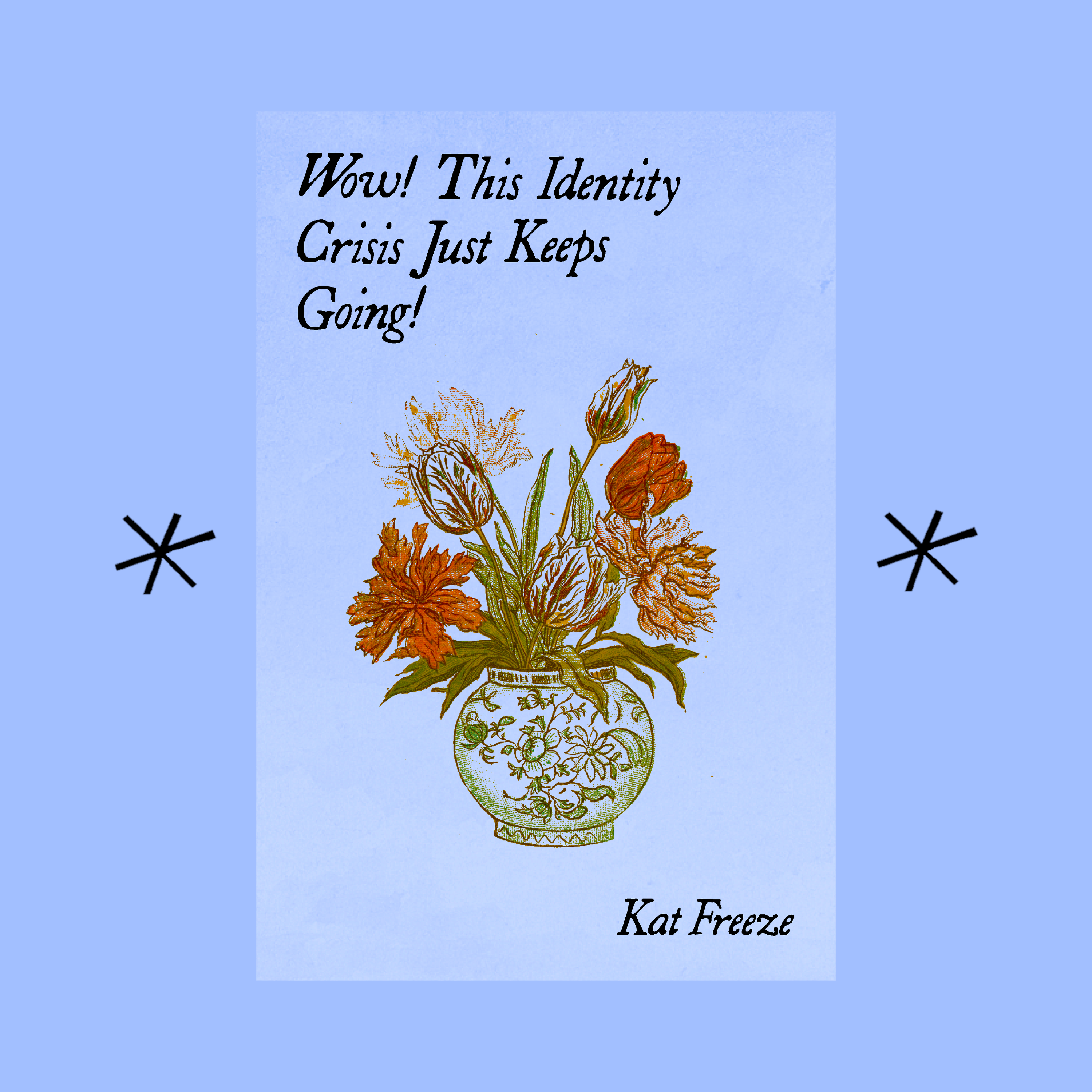 Wow! This Identity Crisis Just Keeps Going!, by Kat Freeze