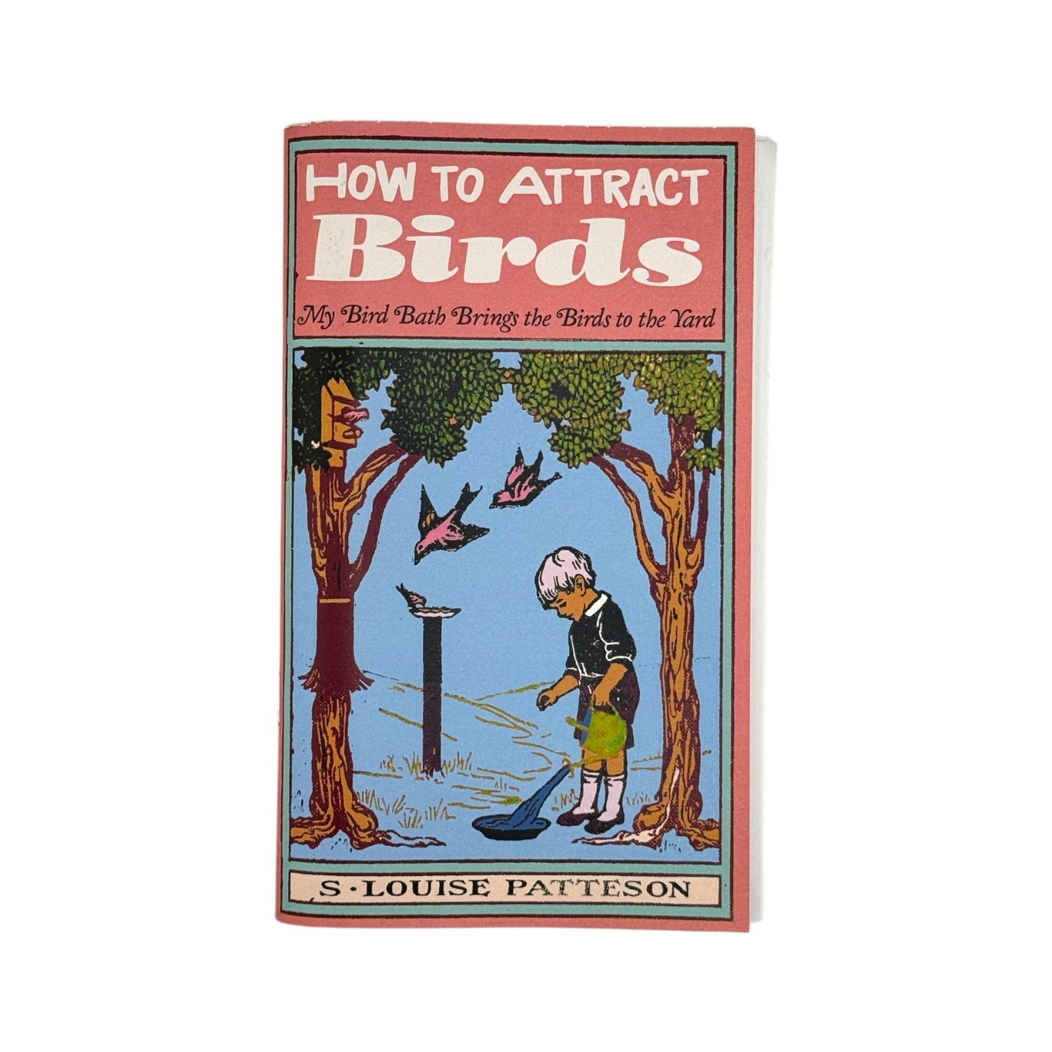 How to Attract Birds