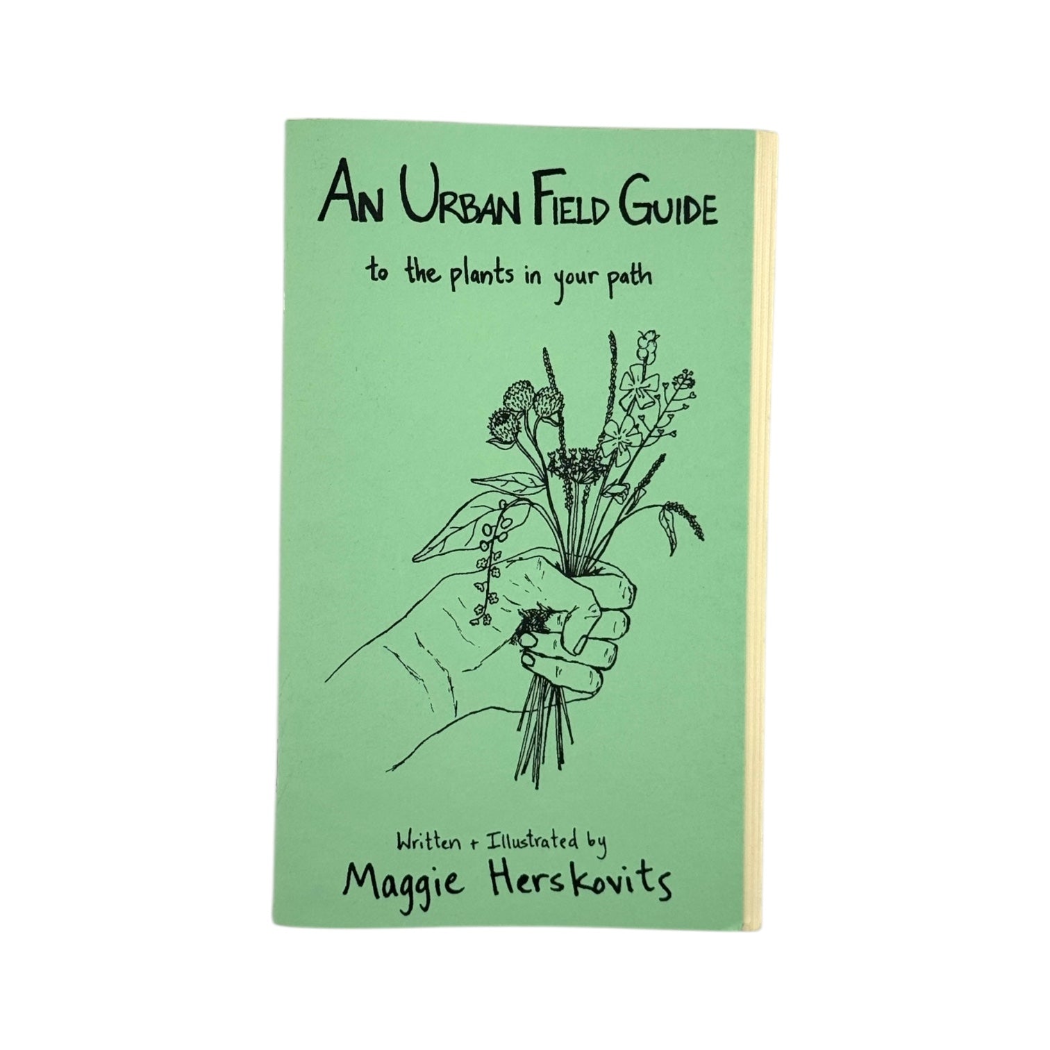Urban Field Guide to the Plants in Your Path