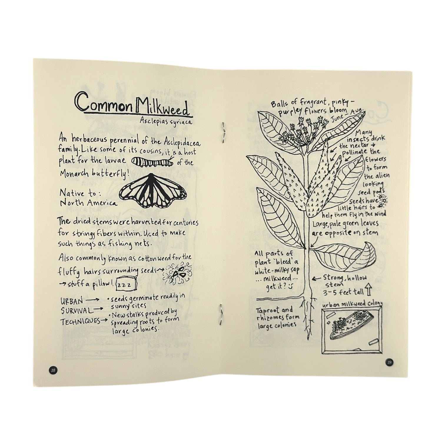 Urban Field Guide to the Plants in Your Path